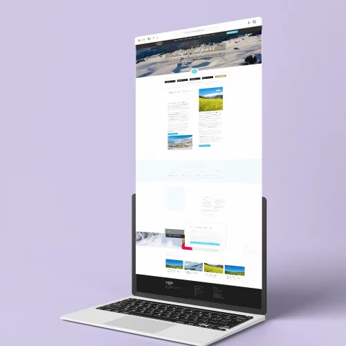 detailwebdesign  webtasarim